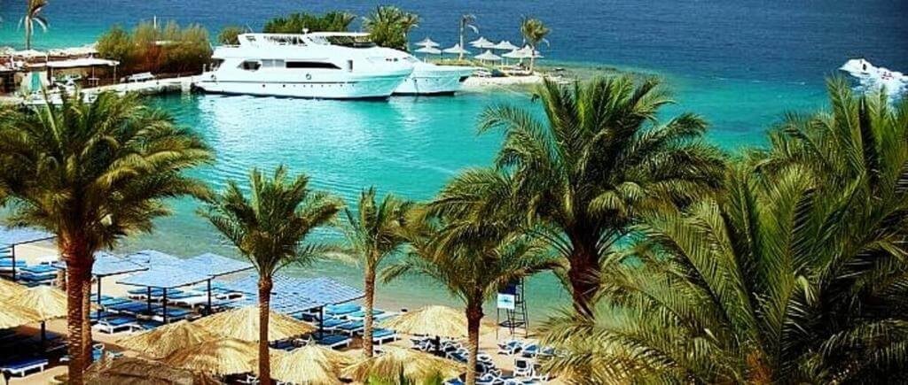 فندق ريجينا الغردقة أكوا بارك ريزورت زيا من شركة الحرية للحلول التسويقية والعقارية