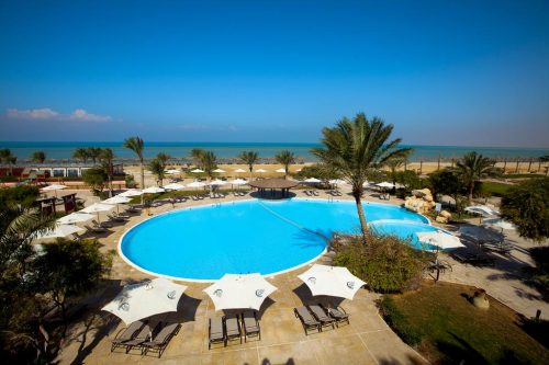 حمامات-سباحة-شاسعة