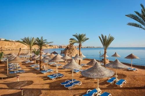دريمز بيتش